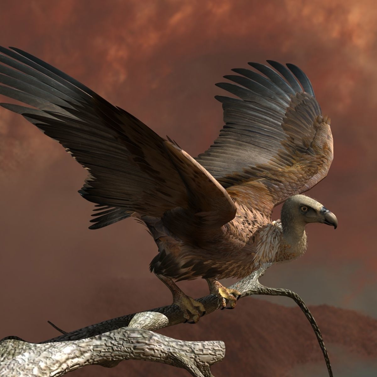 Griffon Vulture - rigged - animated 3D model_27