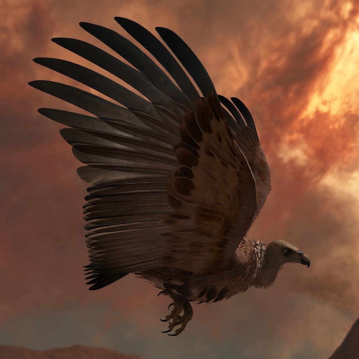 Griffon Vulture - rigged - animated 3D model_15