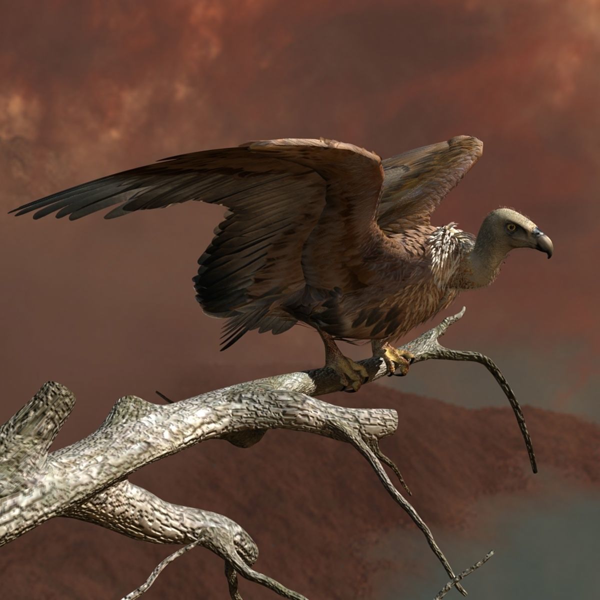 Griffon Vulture - rigged - animated 3D model_5