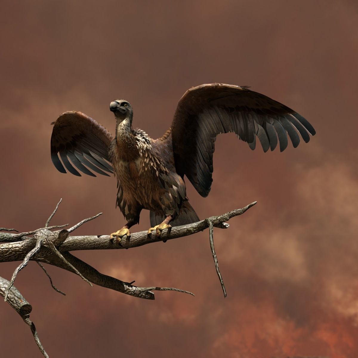 Griffon Vulture - rigged - animated 3D model_7