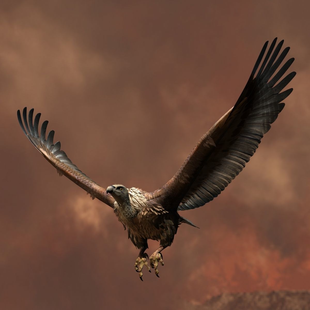 Griffon Vulture - rigged - animated 3D model_8