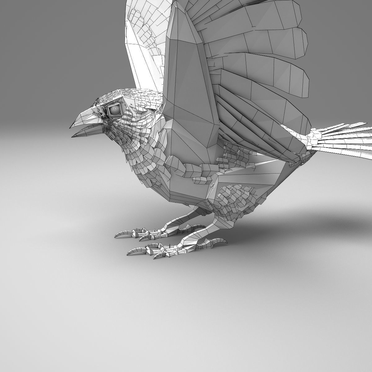 House finch - rigged - animated 3D model_22