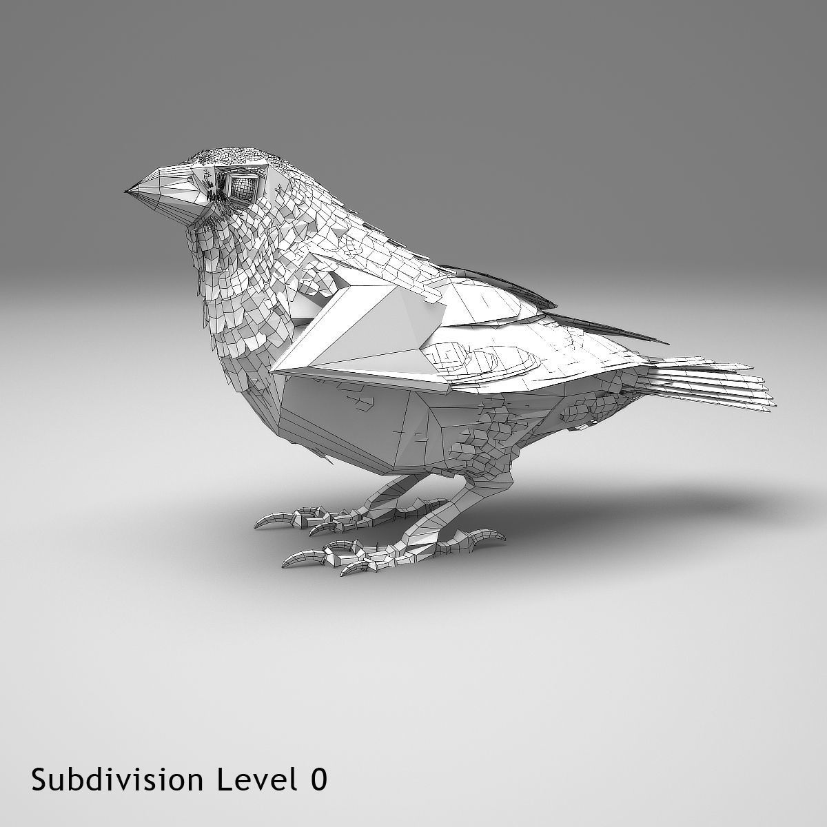 House finch - rigged - animated 3D model_15