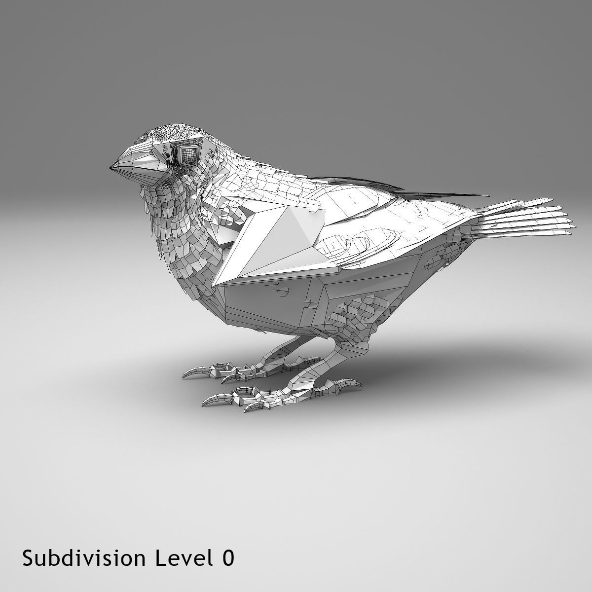 House finch - rigged - animated 3D model_18