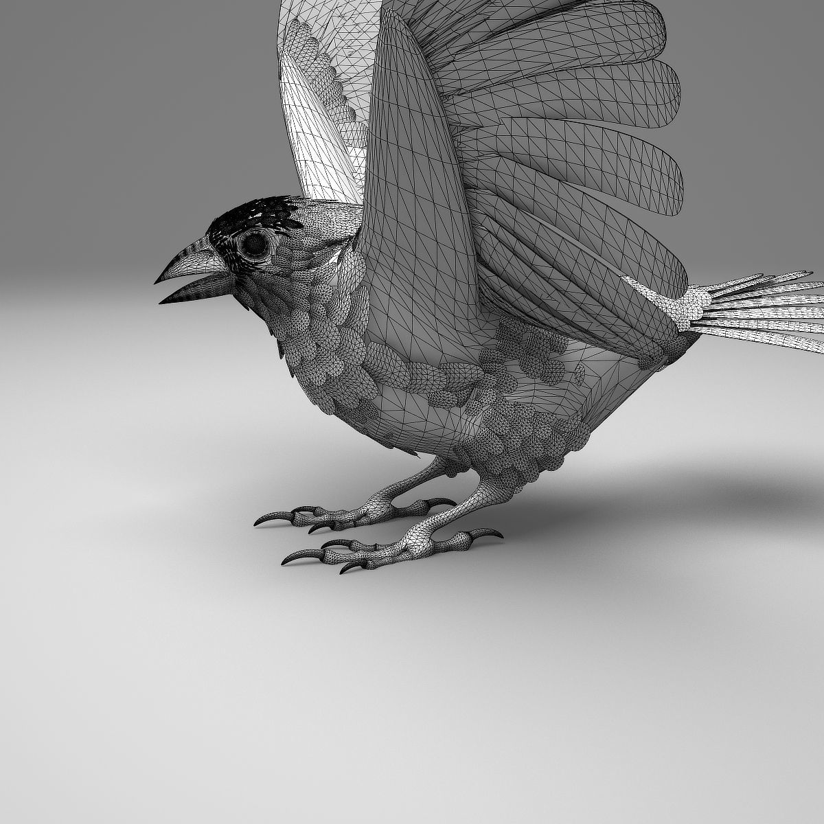 House finch - rigged - animated 3D model_20