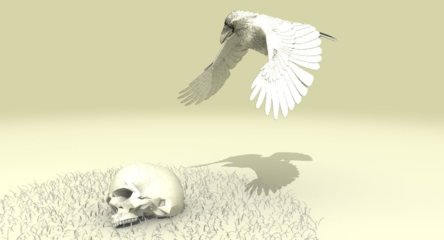 Common Raven - rigged - animated 3D model_24