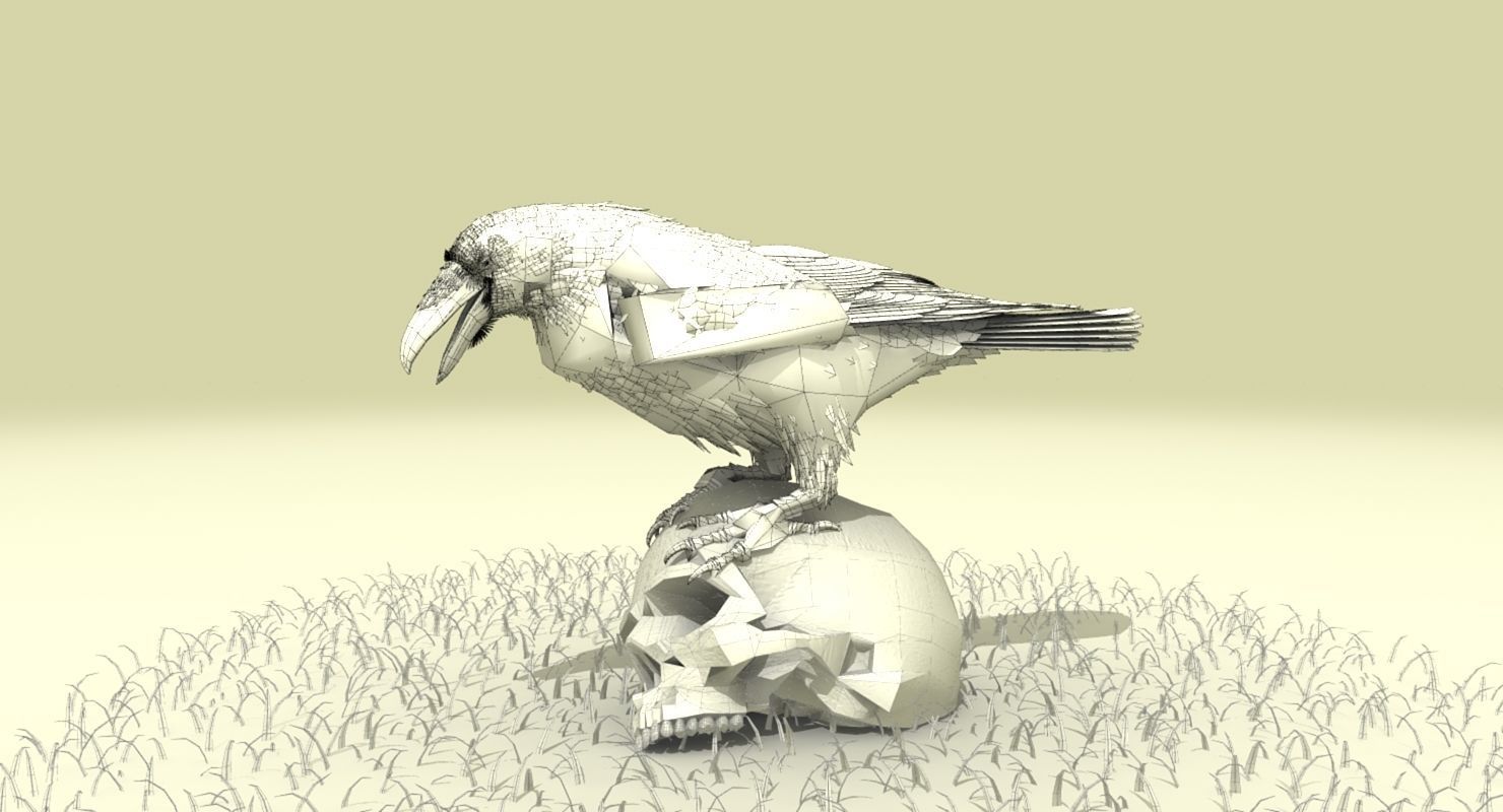 Common Raven - rigged - animated 3D model_27