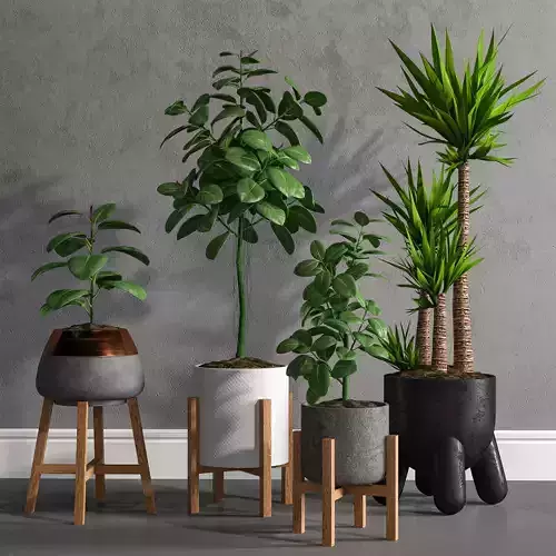 PLANT MODEL 1 four potted plants on wooden stools