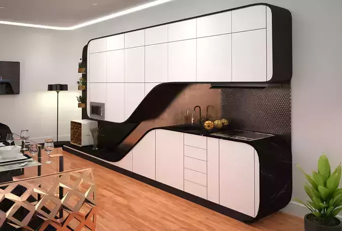 Conceptual Curve Kitchen 