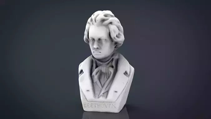 Beethoven Bust