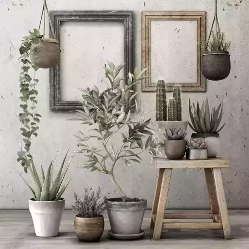 Plants potted on wooden stool 3D model