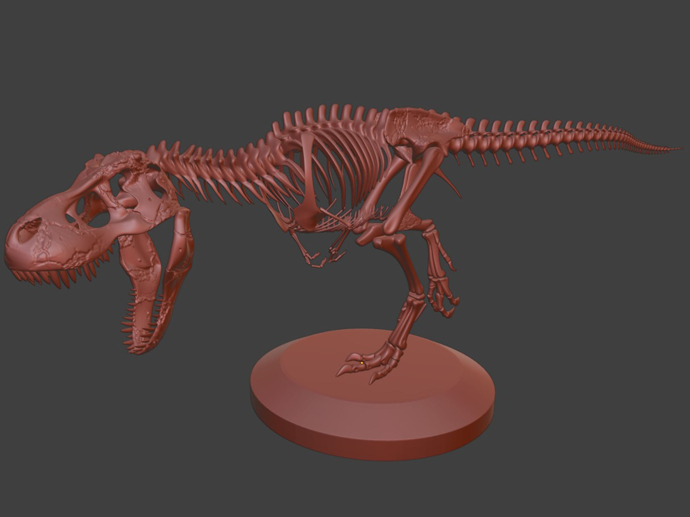 T-Rex Dinosaur Skeleton - Museum Display 3D model_8