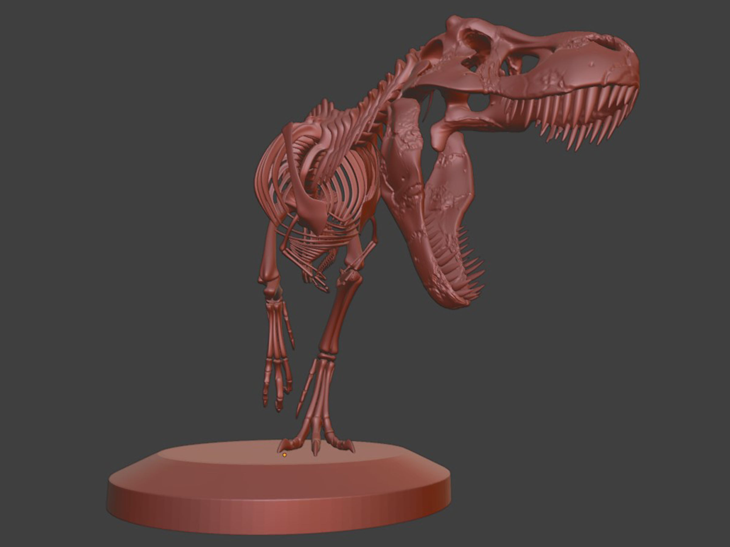 T-Rex Dinosaur Skeleton - Museum Display 3D model_6