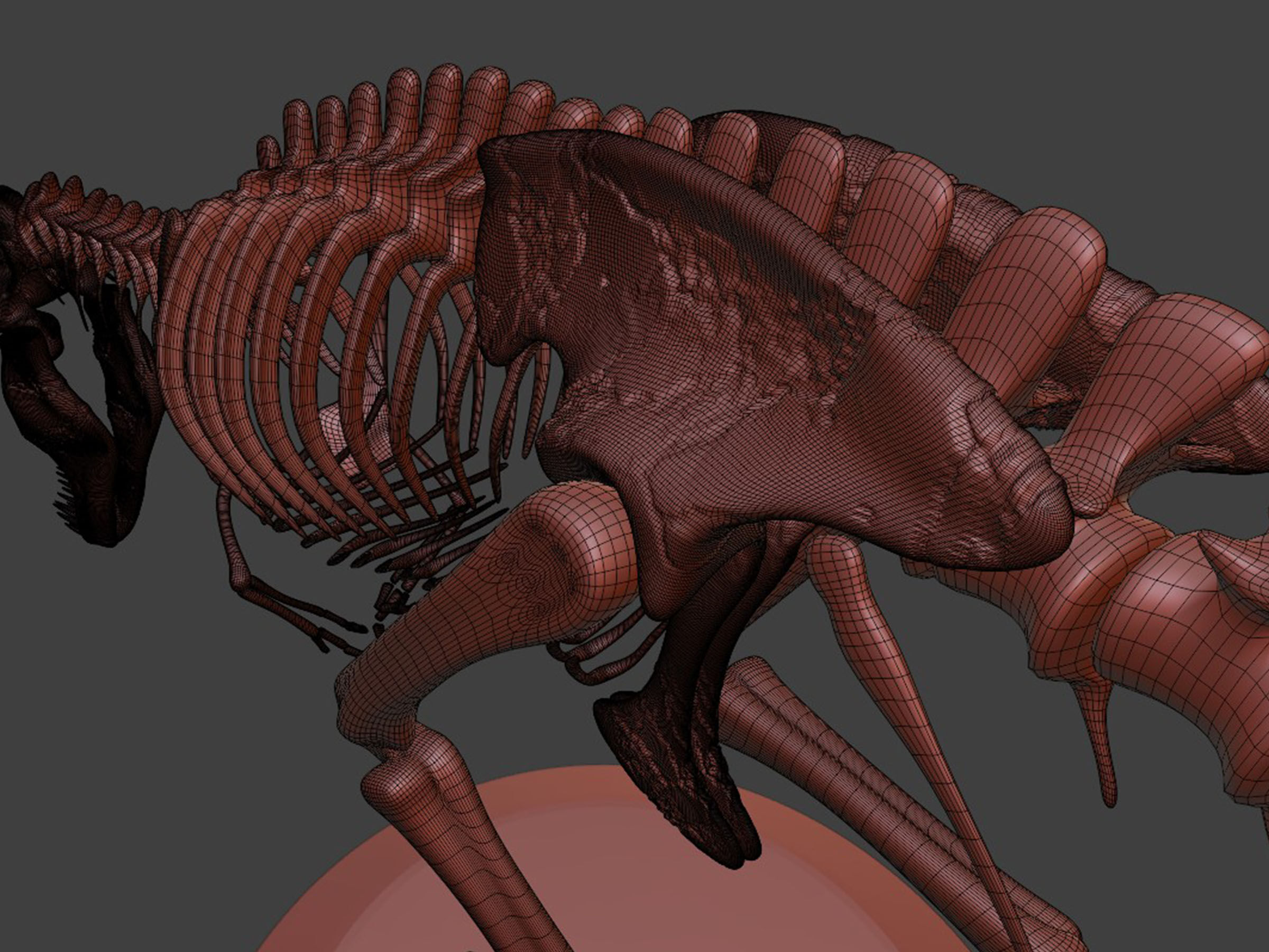 T-Rex Dinosaur Skeleton - Museum Display 3D model_9