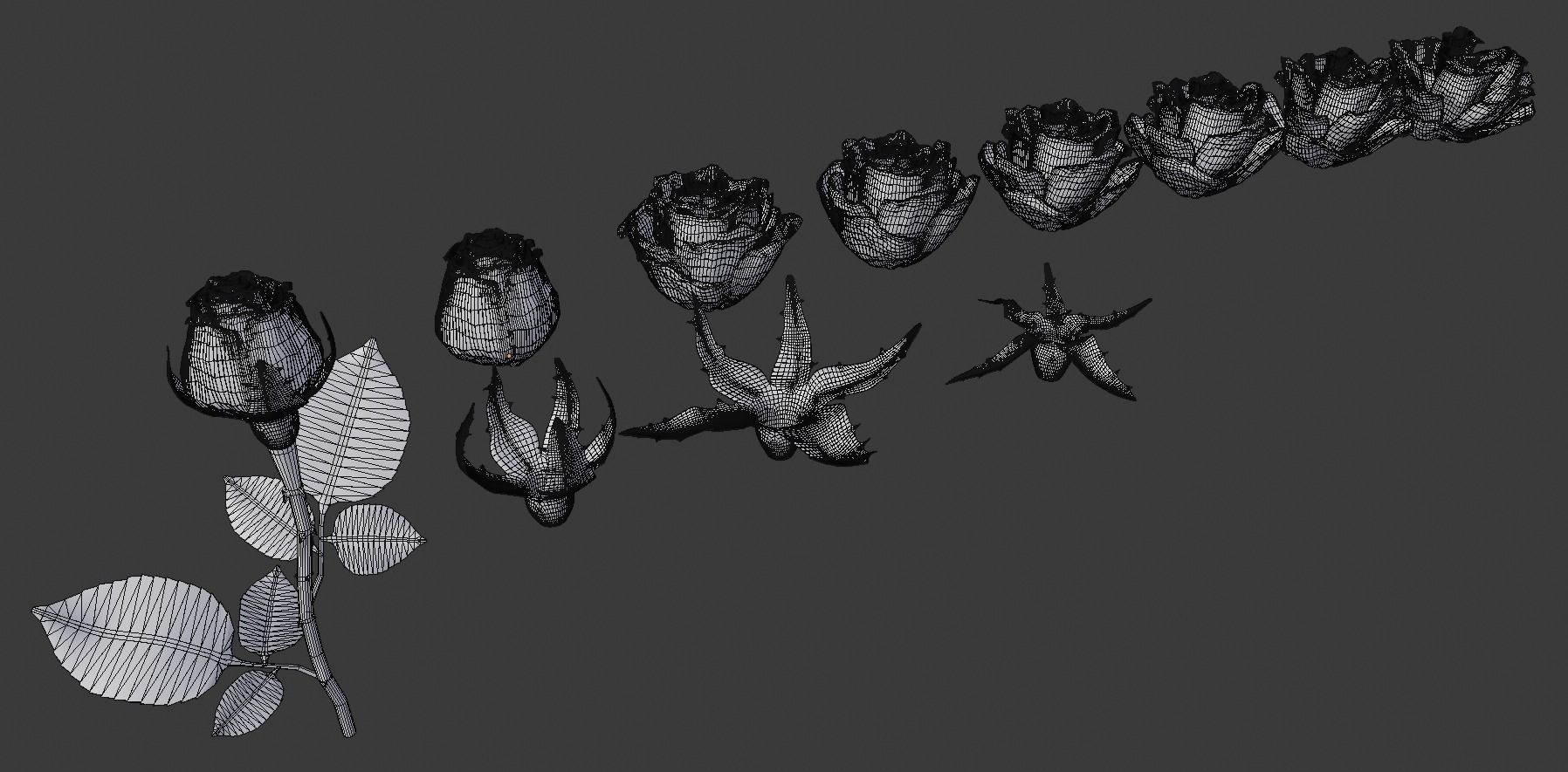 Realistic 3D Rose Flower with Blooming Rig 3D model rigged | CGTrader