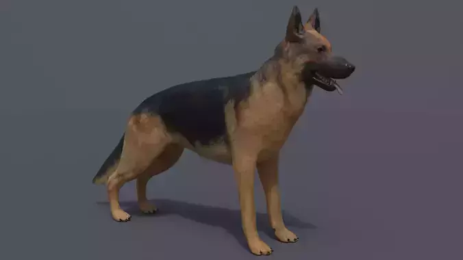 German Shepherd Low-poly 3D model