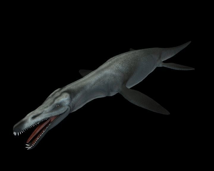 Pliosaurus Pack Low-poly 3D model_2