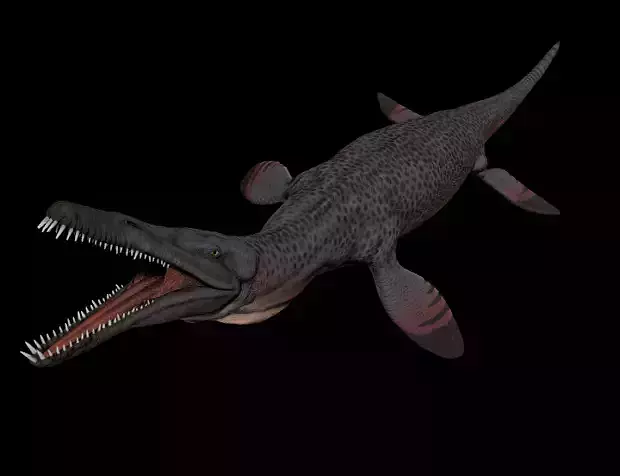 Pliosaurus Pack