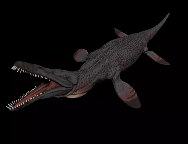 Pliosaurus Pack Low-poly 3D model_0