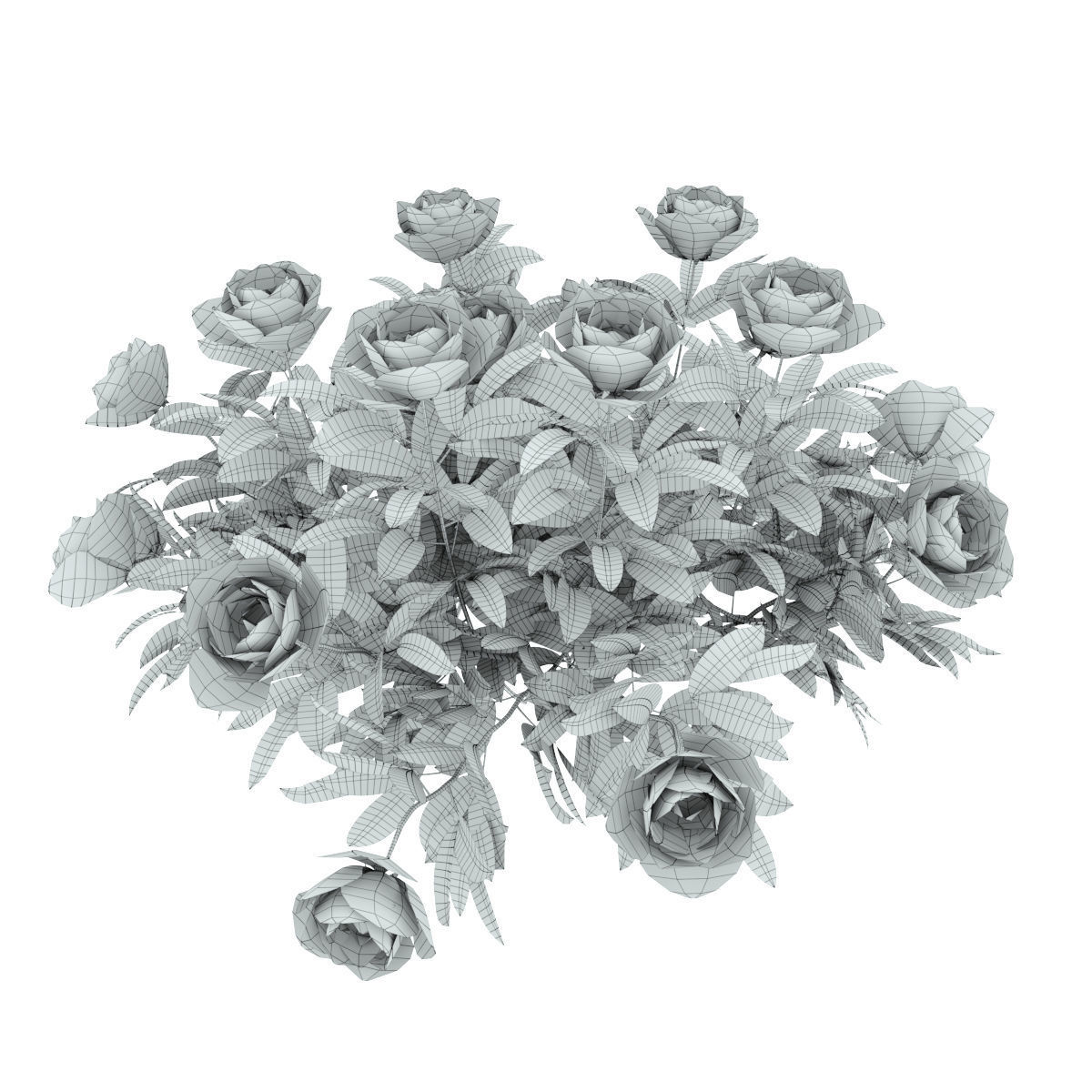 Plants peony  3D model_8