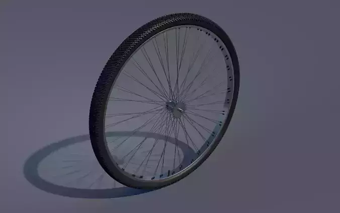 Bicycle wheel with spokes