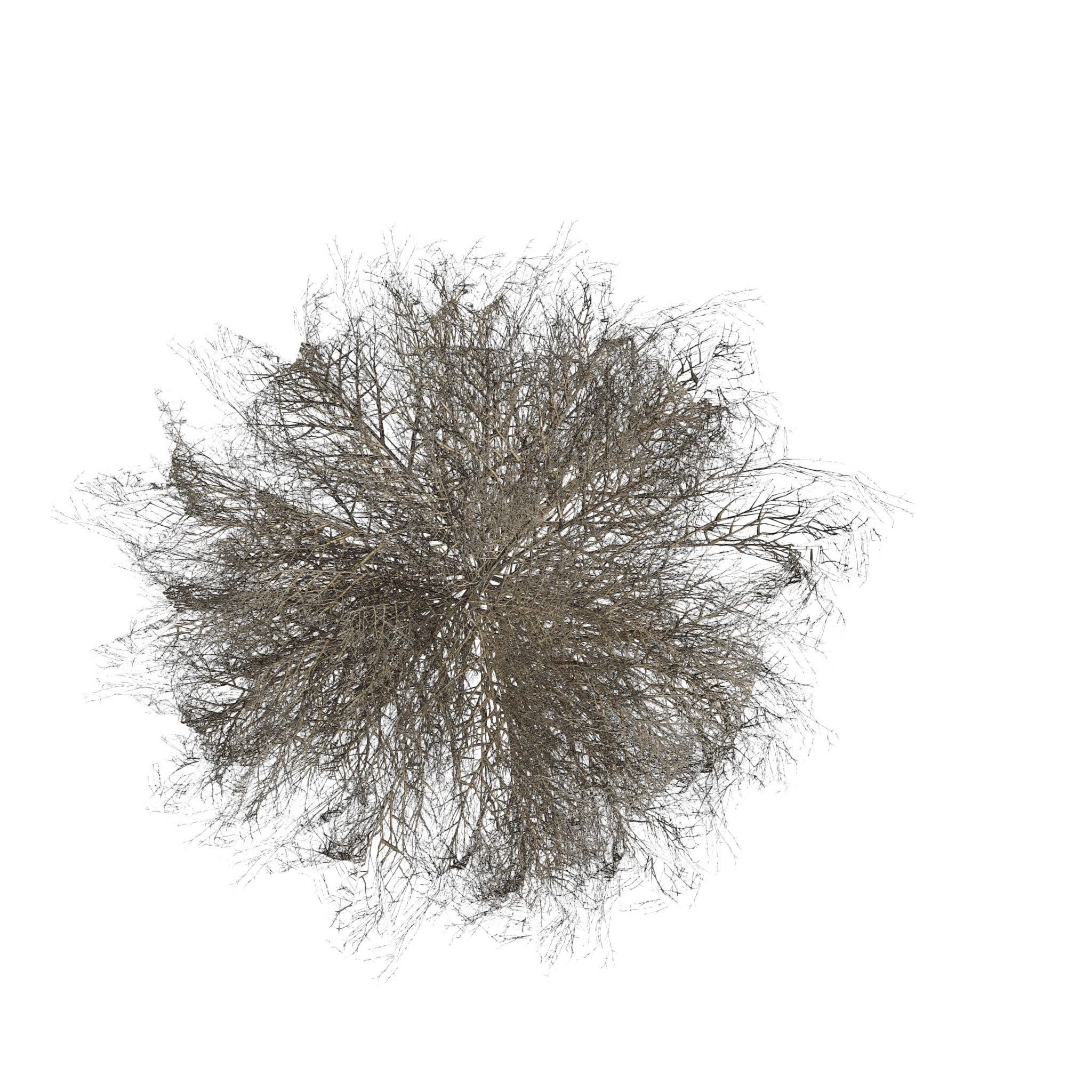 Tumbleweed LOW Low-poly 3D model_3