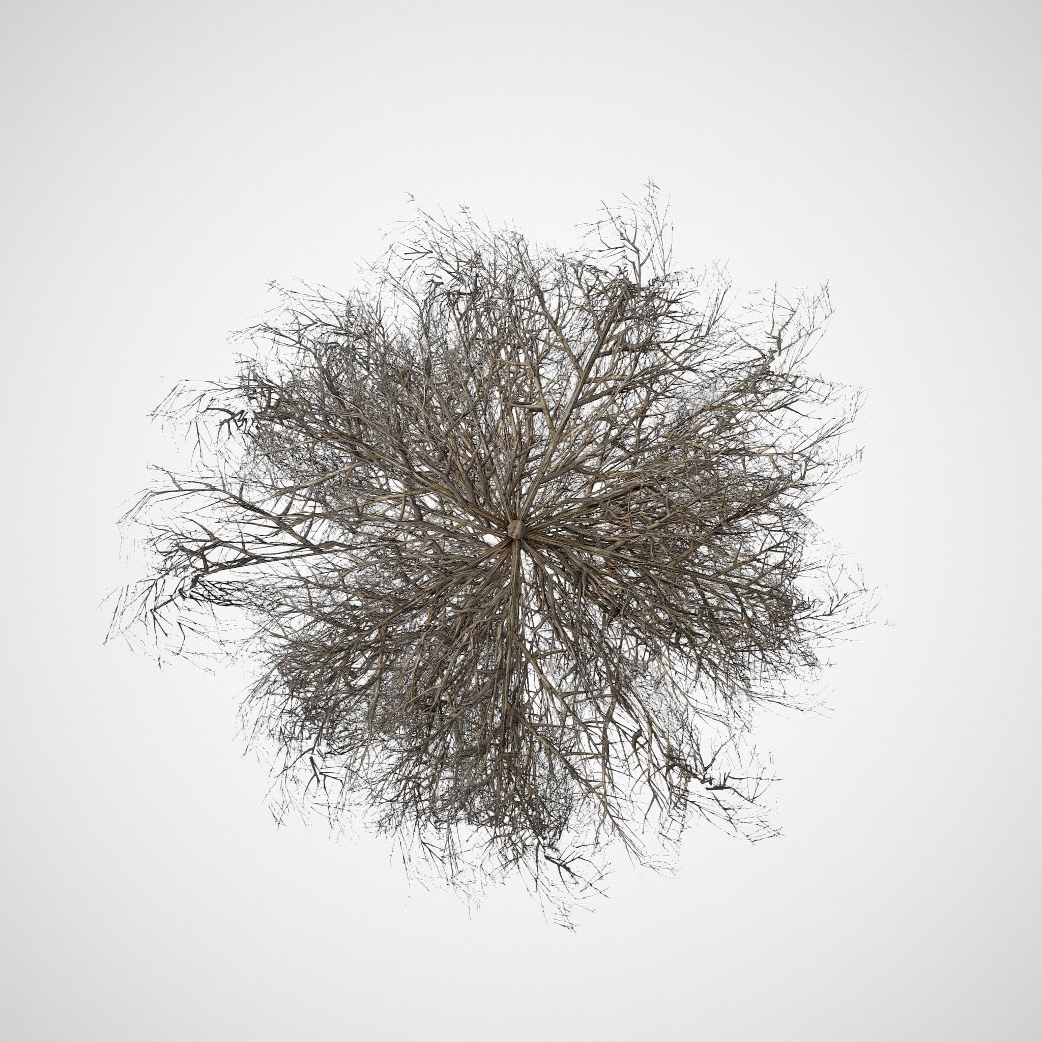 Tumbleweed LOW Low-poly 3D model_8