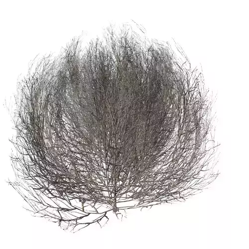 Tumbleweed LOW Low-poly 3D model