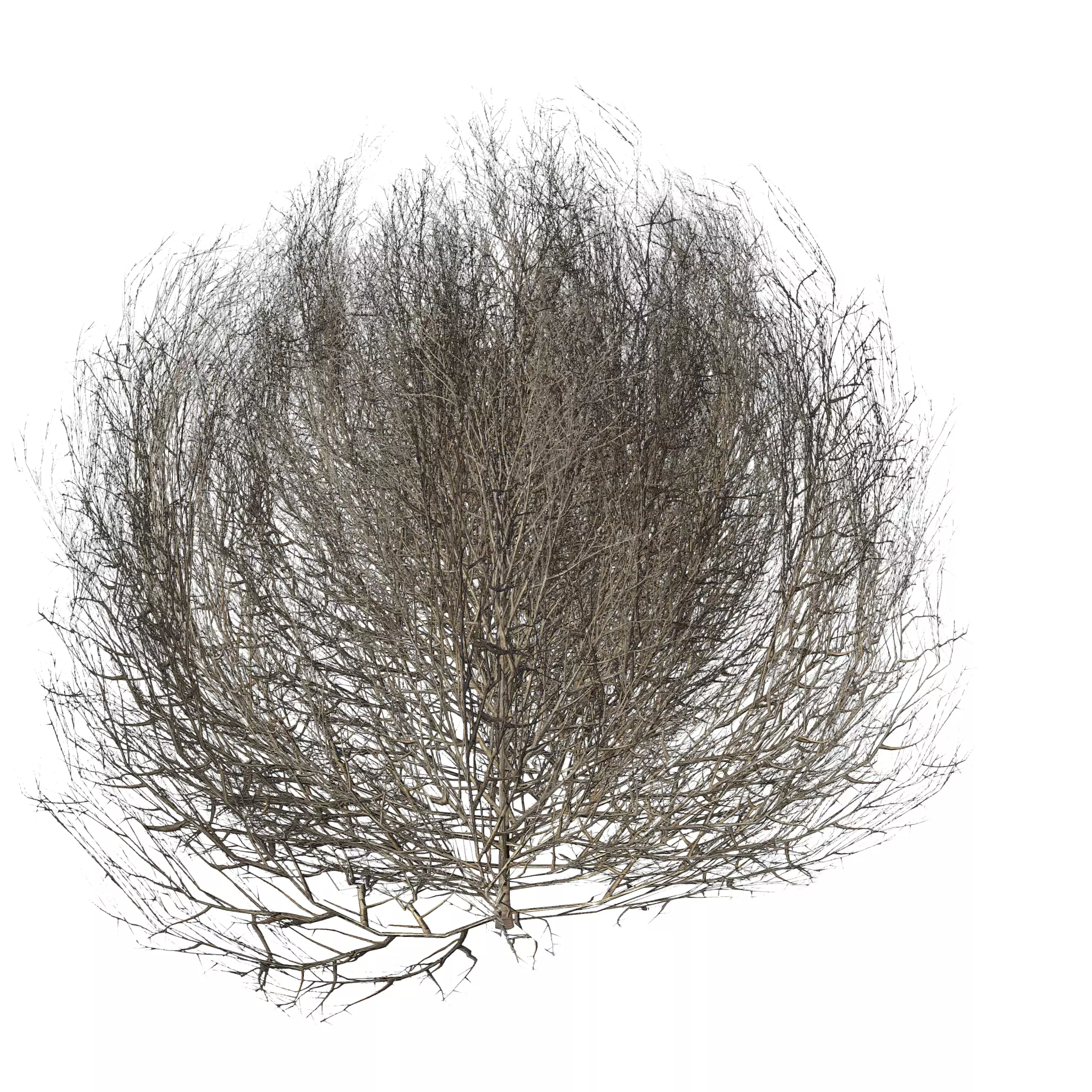 Tumbleweed LOW Low-poly 3D model_0