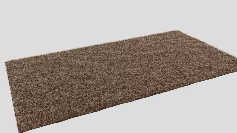 Carpet shaggy rug Free 3D model