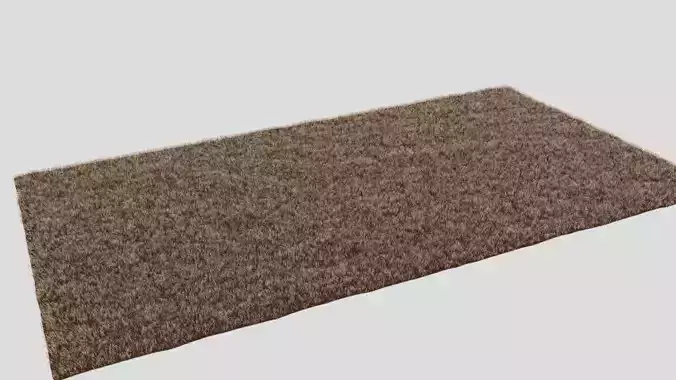 Carpet shaggy rug