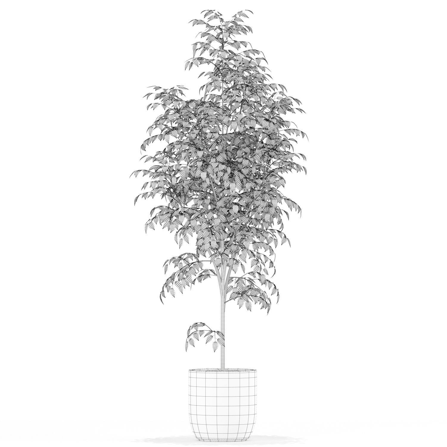 Plants collection 151 3D model_3