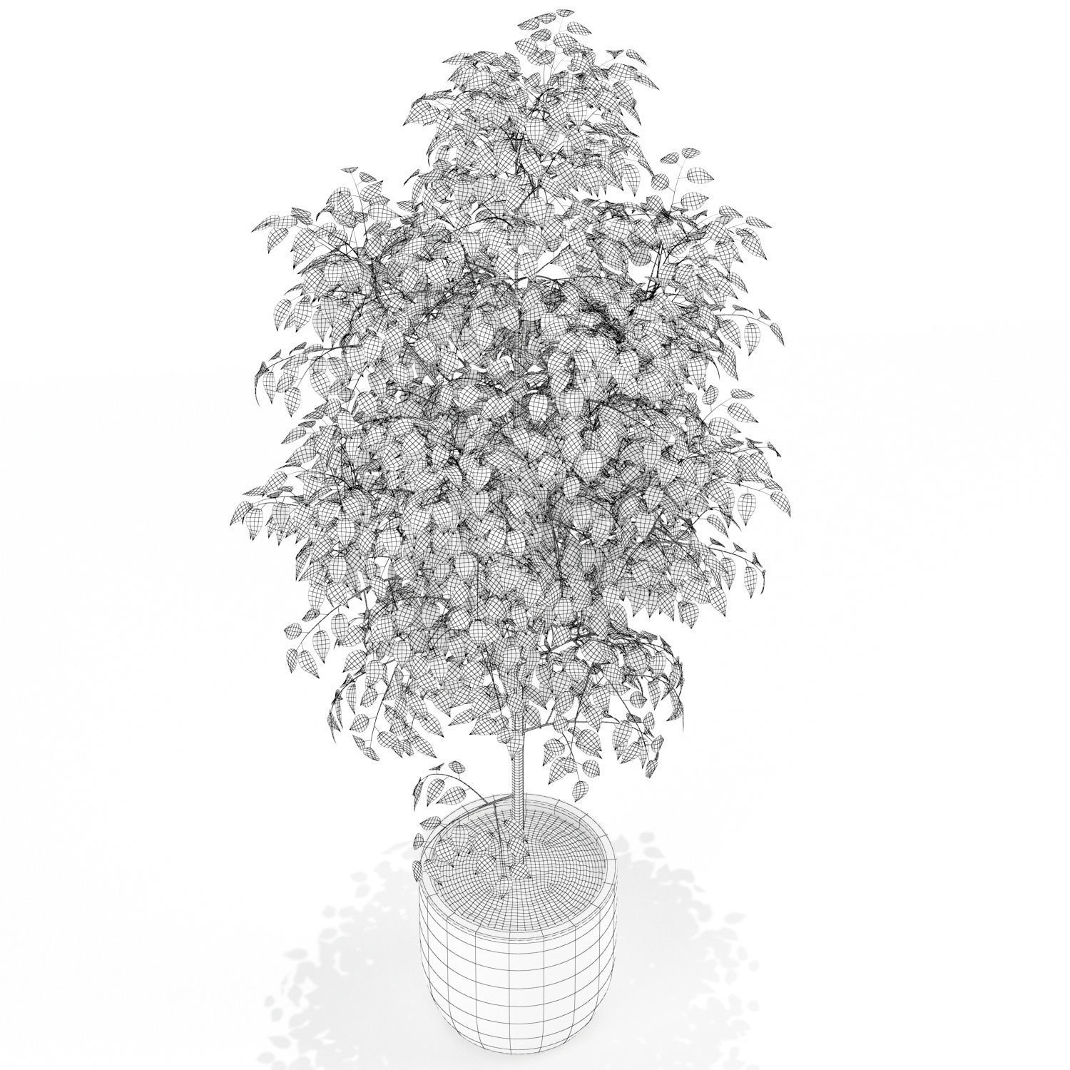 Plants collection 151 3D model_4