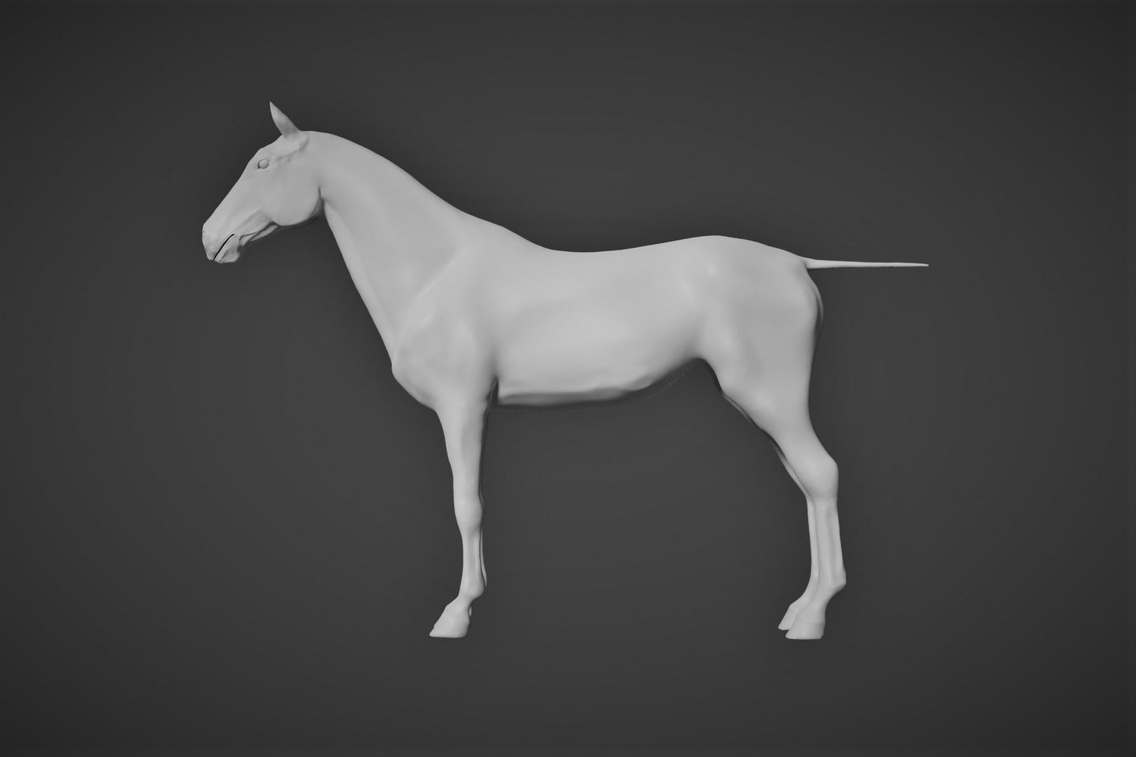 High-Poly Horse 3D model_6