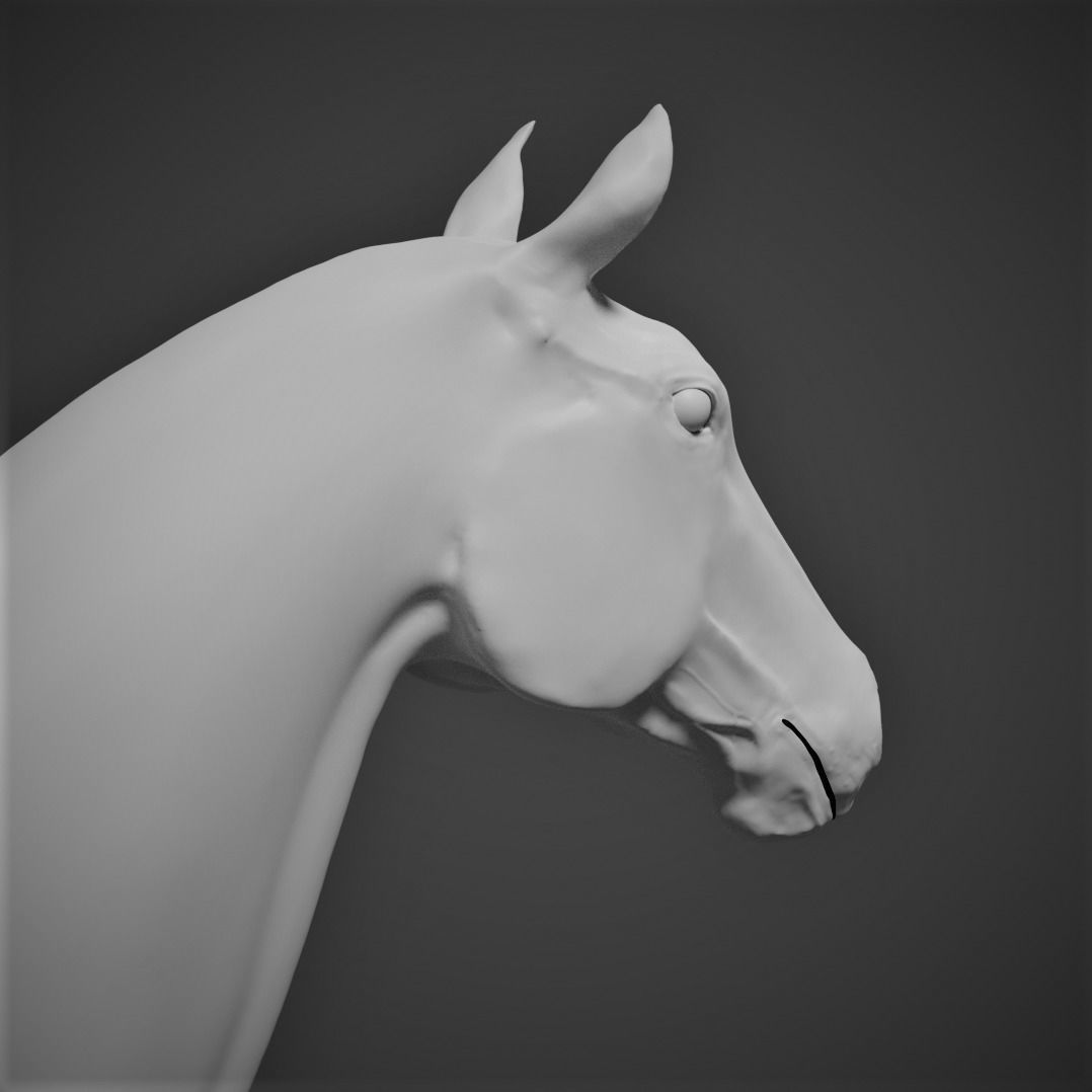High-Poly Horse 3D model_5