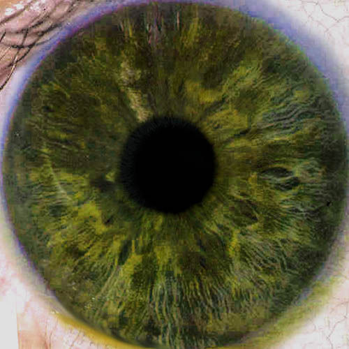 Eve EscapeFromParadise woman 3D model_18