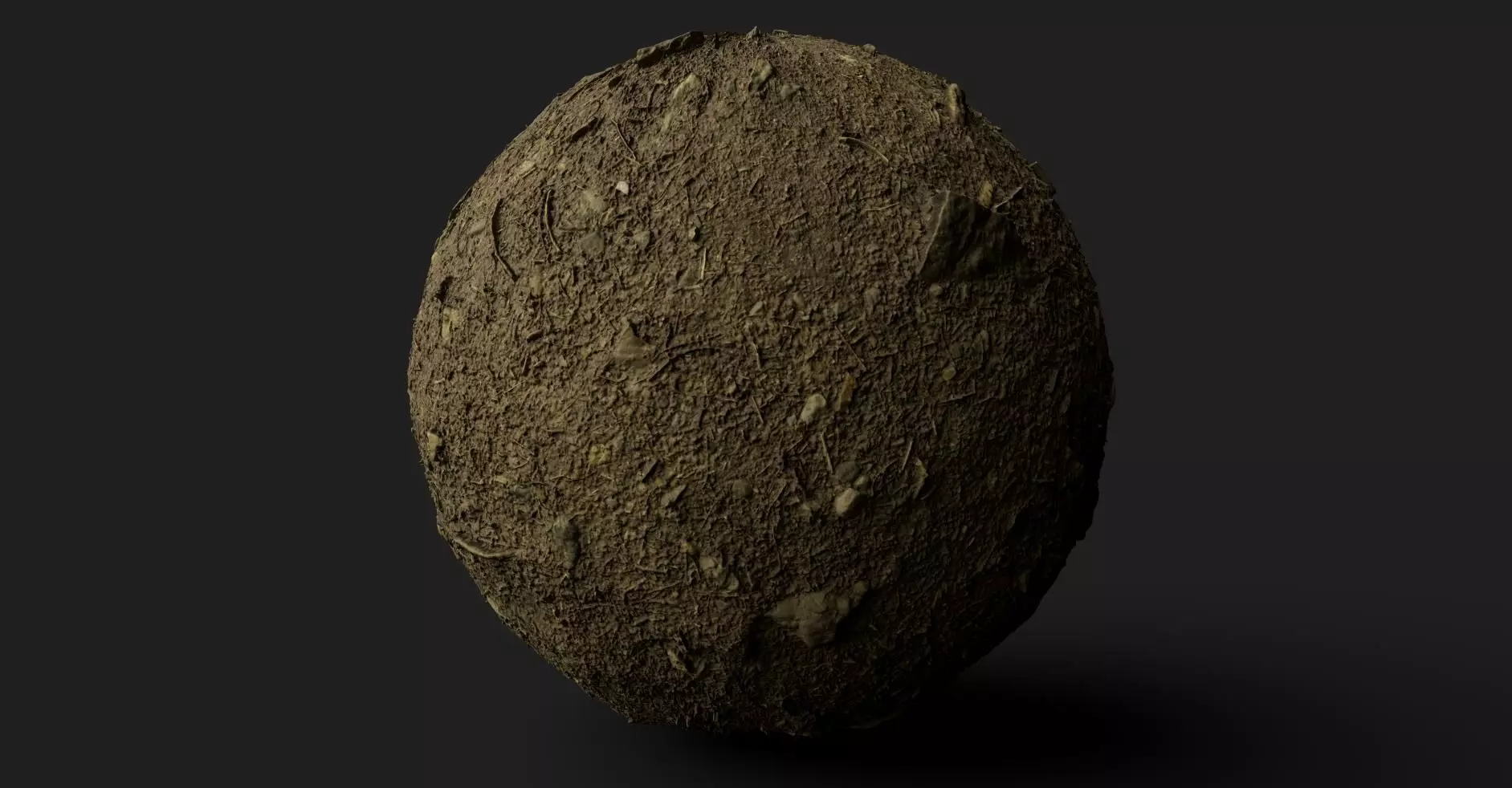 PBR Scanned Rocky Forest Ground Texture_0