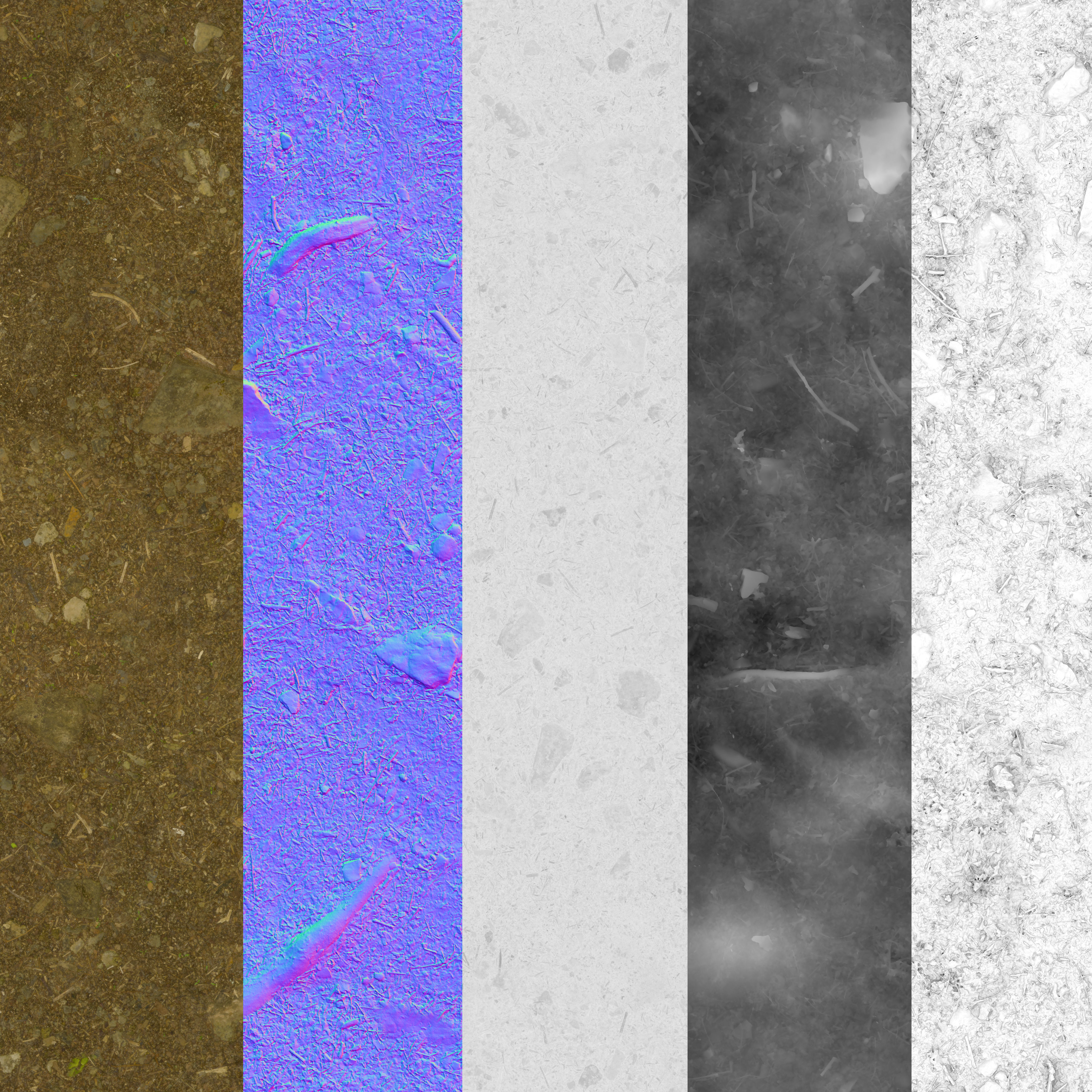 PBR Scanned Rocky Forest Ground Texture_4