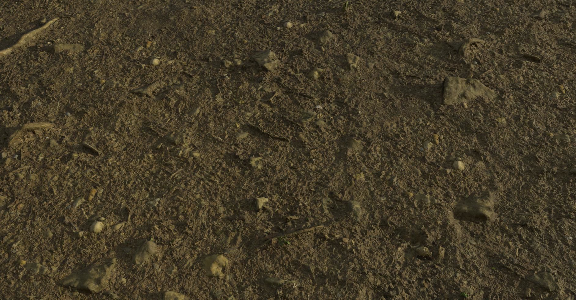 PBR Scanned Rocky Forest Ground Texture_2