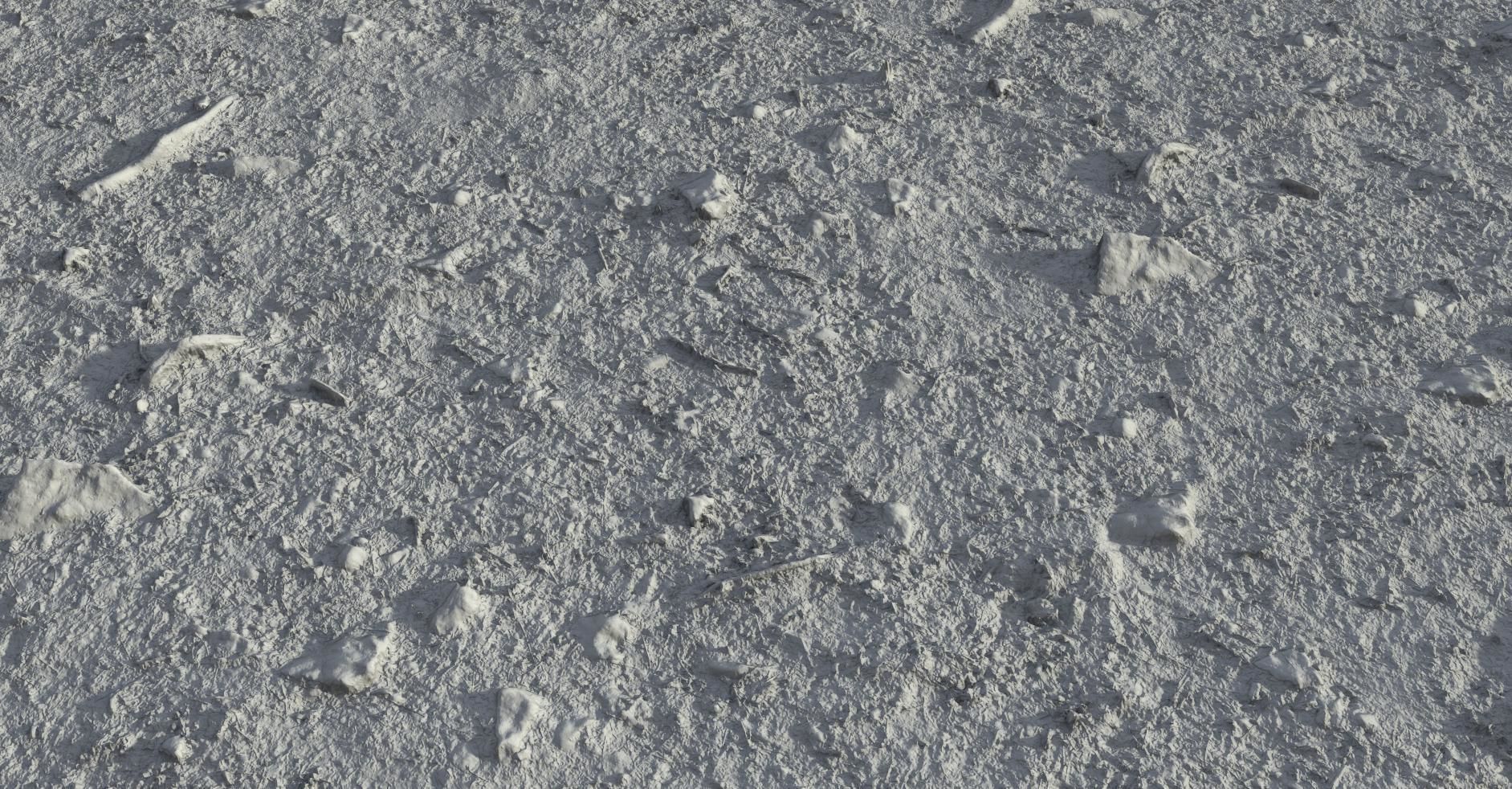 PBR Scanned Rocky Forest Ground Texture_3