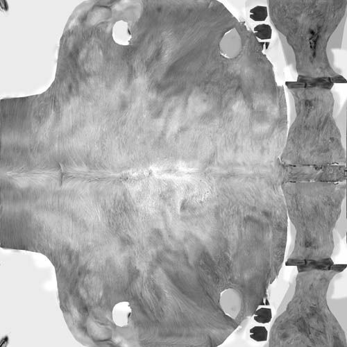 Cow EscapeFromParadise Animal 3D model_12