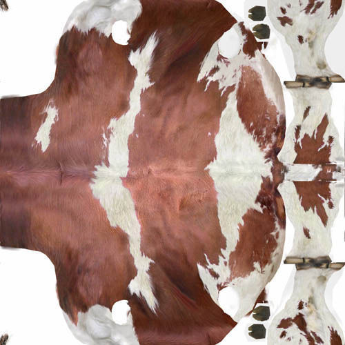 Cow EscapeFromParadise Animal 3D model_19