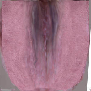 Cow EscapeFromParadise Animal 3D model_16