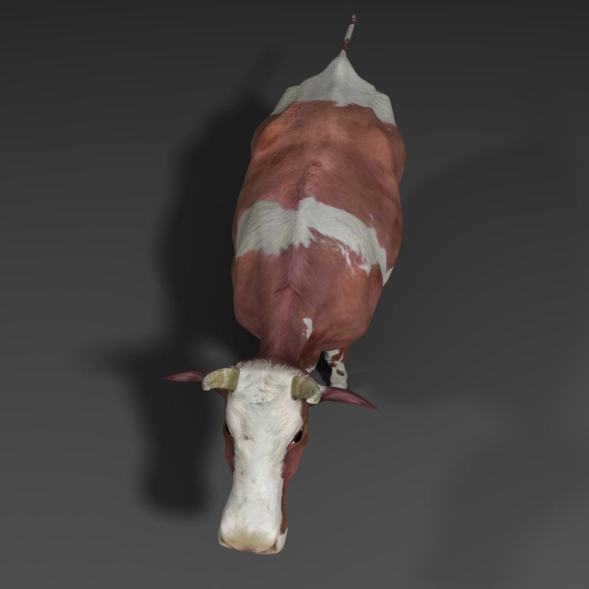 Cow EscapeFromParadise Animal 3D model_8