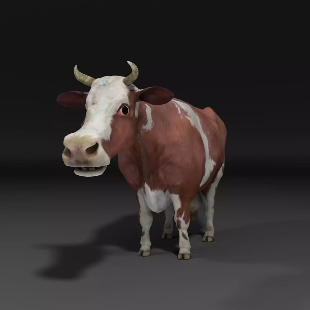 Cow EscapeFromParadise Animal 3D model_0