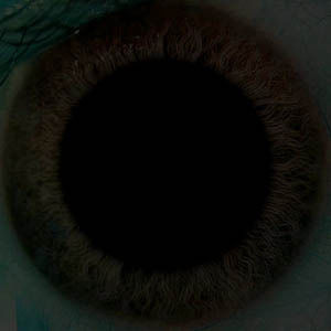 Cow EscapeFromParadise Animal 3D model_15