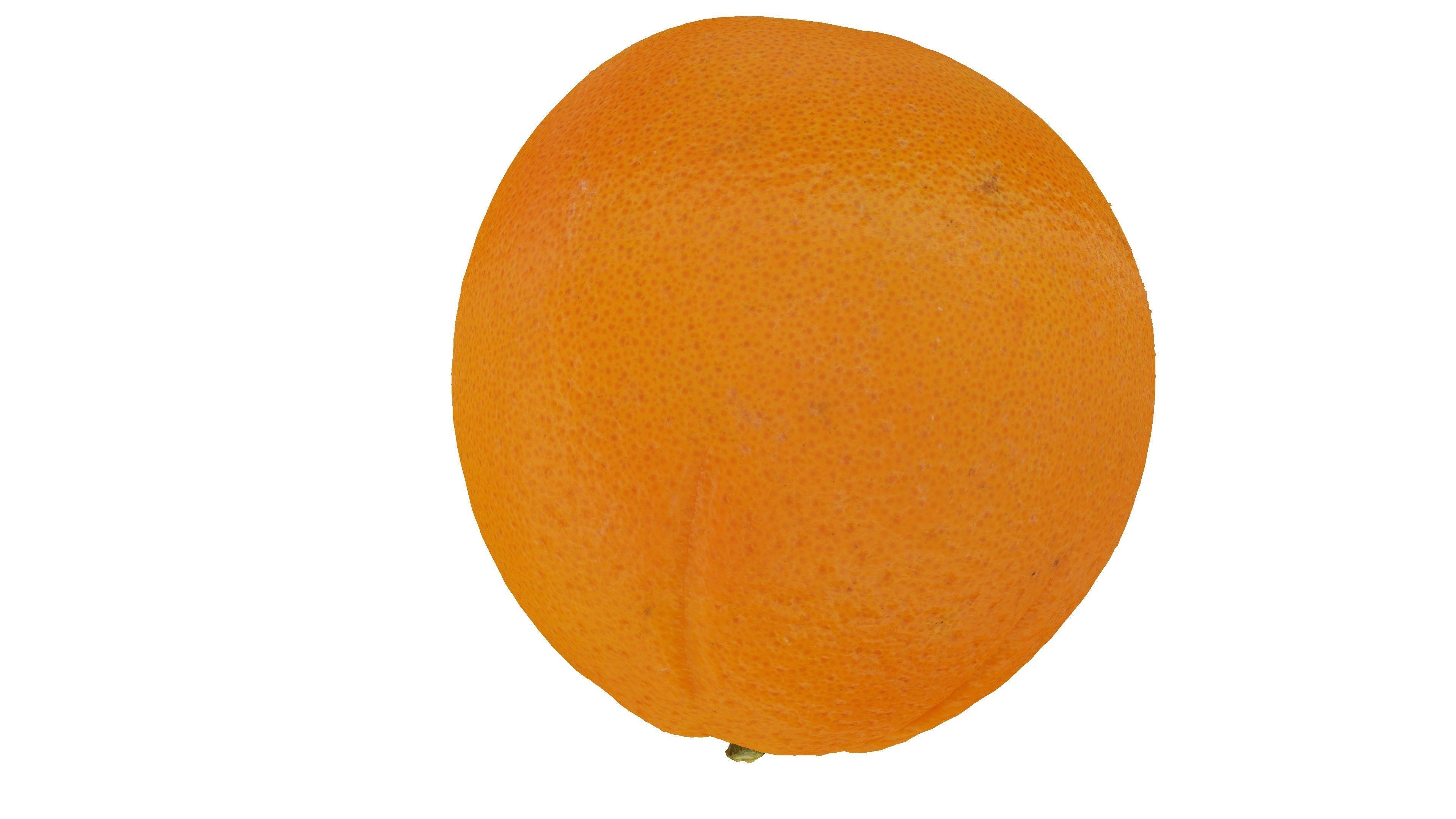 Realistic - Orange fruit Low-poly 3D model_4