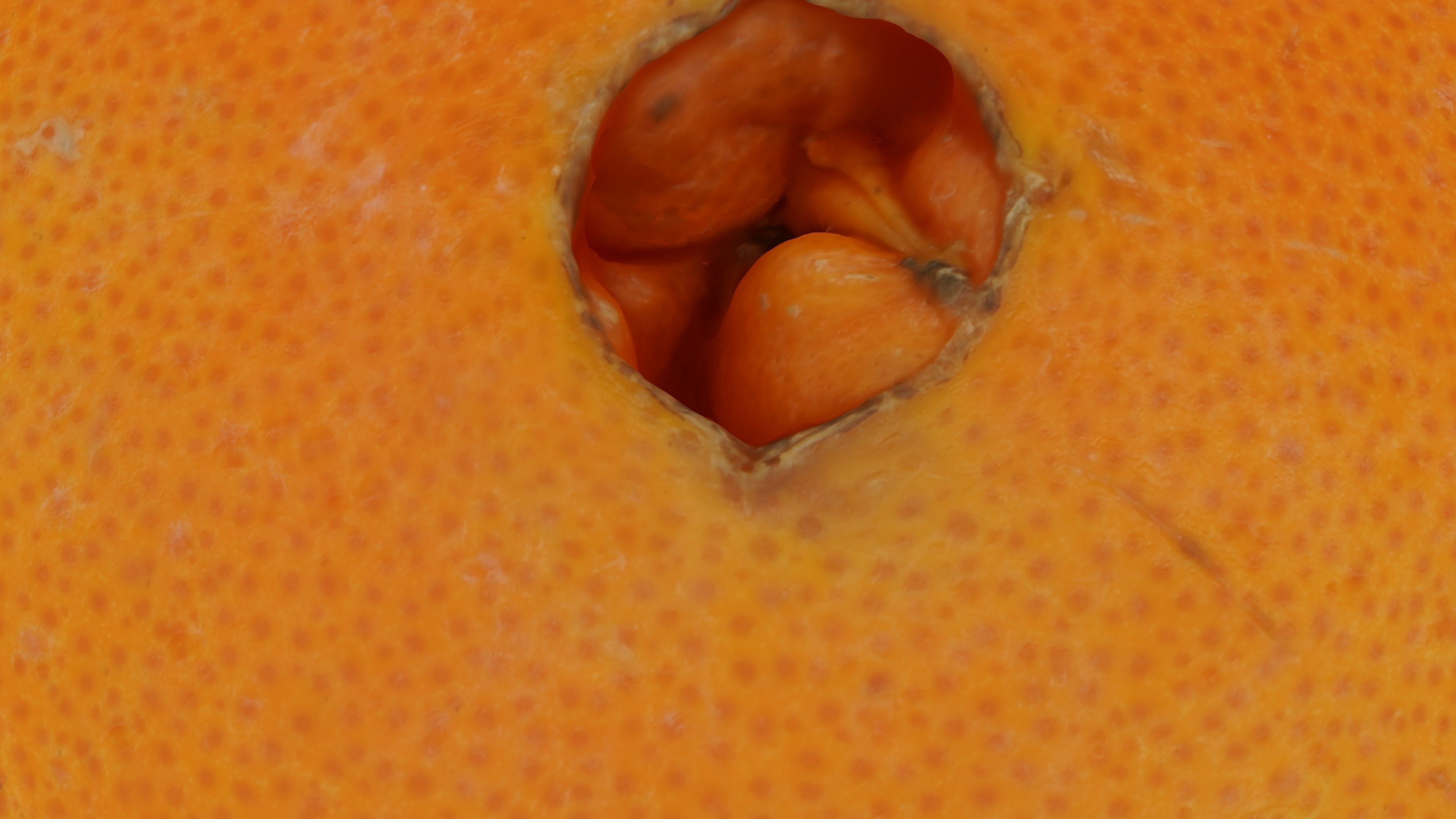 Realistic - Orange fruit Low-poly 3D model_5