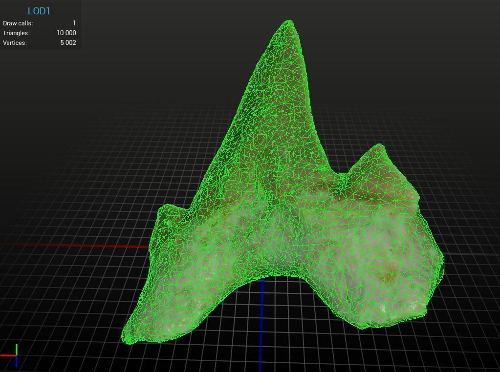 Realistic - Shark Tooth Low-poly 3D model_7