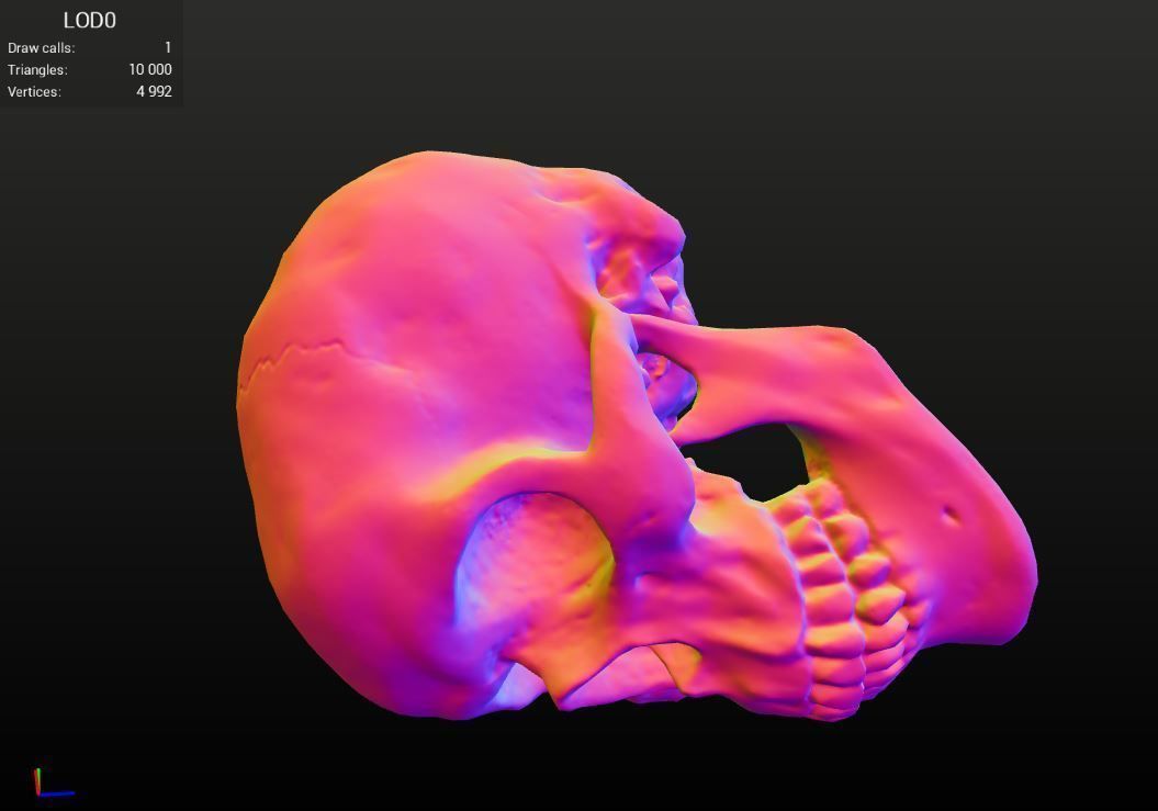 Realistic - Human Skull Low-poly 3D model_3